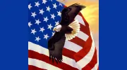 Freedom Transmission & Automotive Service