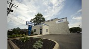 Collex Collision Experts