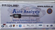 Auto Analysts