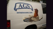Auto Glass Services
